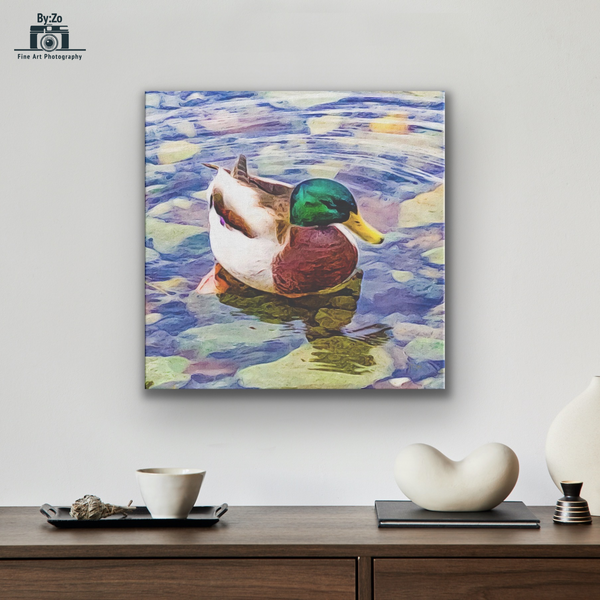 "Duck" Fine Art Photography By:Zo® - By:Zo