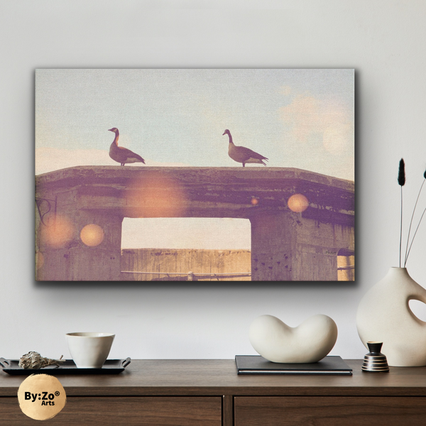 "Geese On Ruins" Fine Art Photography By:Zo® - By:Zo