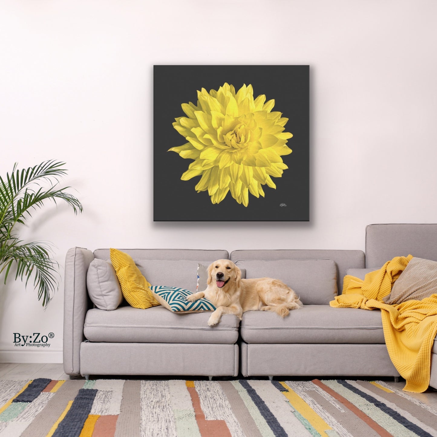 Original l Art Photography of Dahlia Flower on Wrapped Canvas hang on wall home mock up for visual presentation- By:Zo Art by Maria Desnoyers