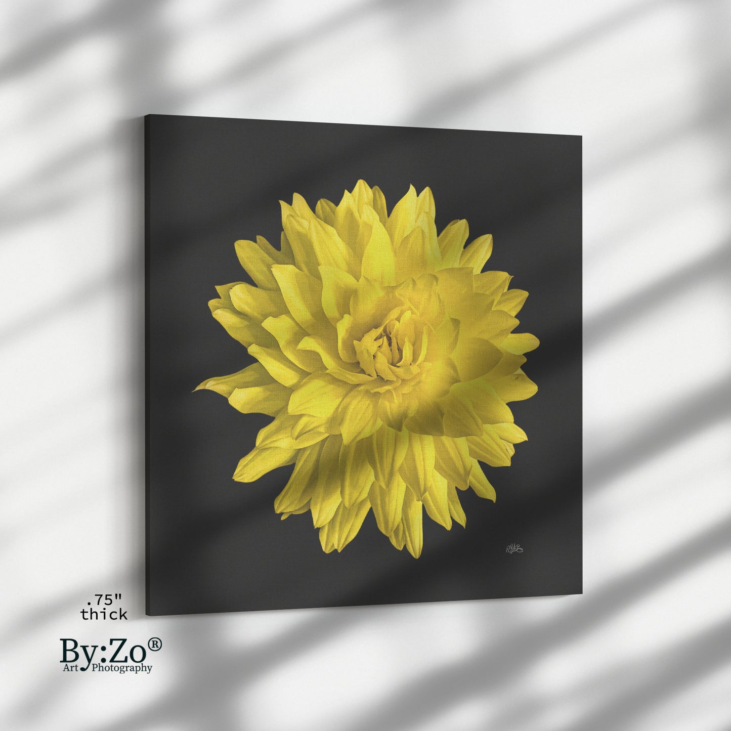 Dahlia Flower on Wrapped Canvas - By:Zo