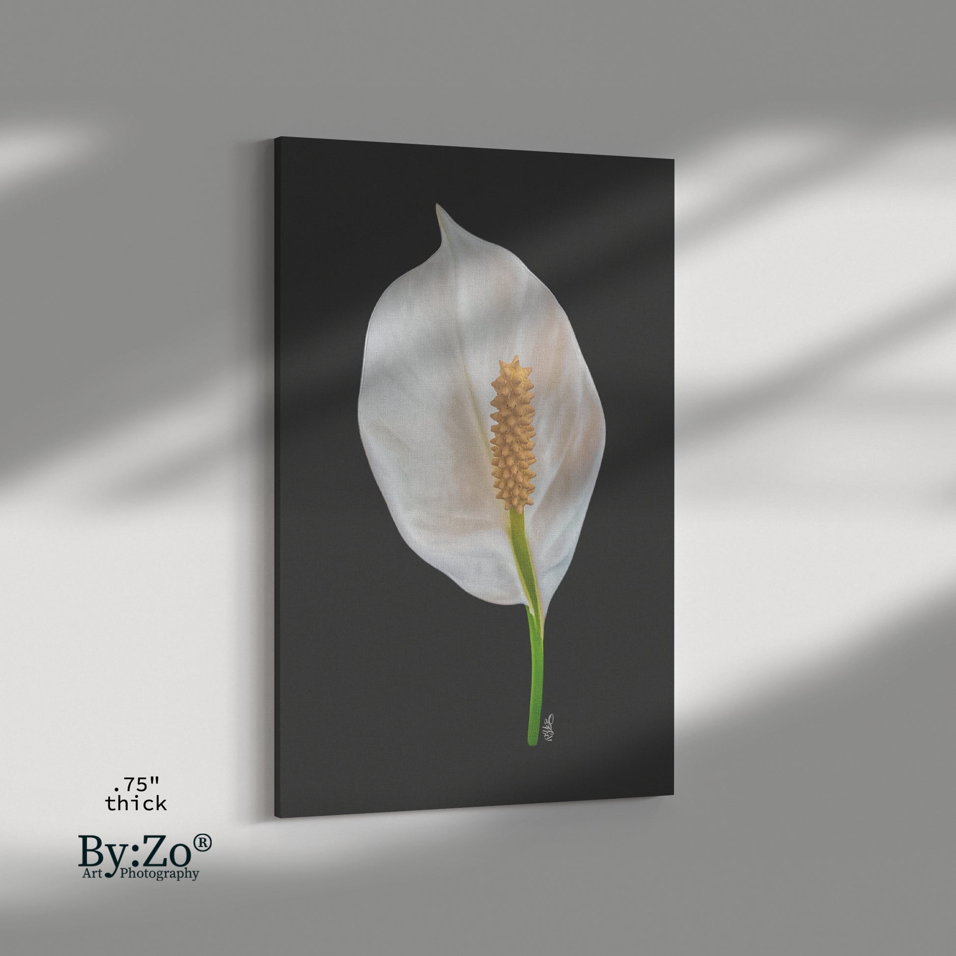 peace lily photography Peace Lily Black Background Canvas Print Original Photography ByZo Art