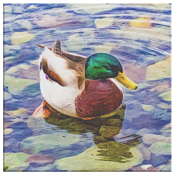 Duck By:Zo® Fine Art Photography. Photo of a duck peacefully swimming on a lake. Fingerlakes, New York.