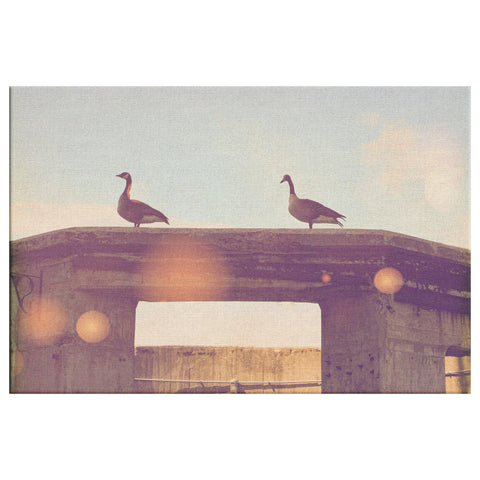 Geese on Ruins By:Zo® - By:Zo