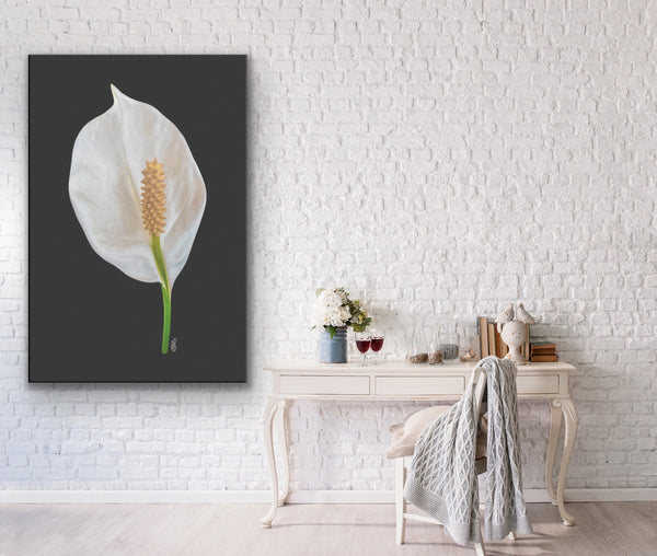 Peace Lily on Wrapped Canvas Original Photography - By:Zo