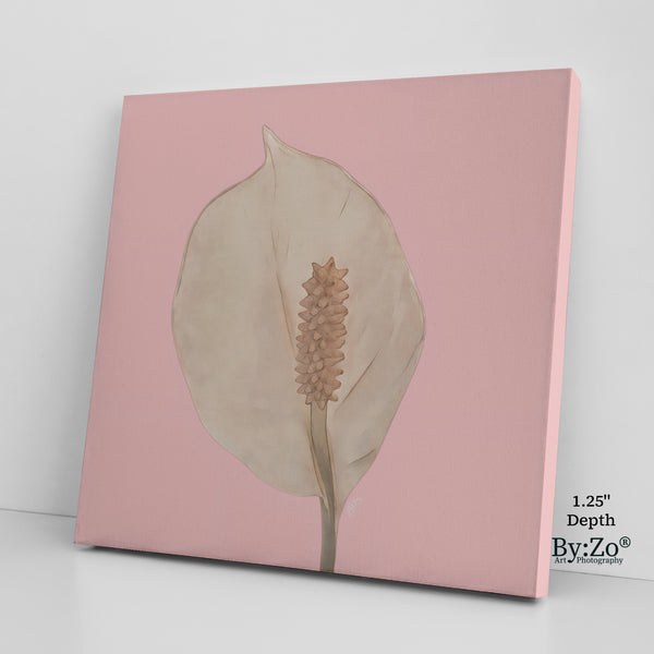 Peace Lily Pastel Colors on Square Wrapped Canvas - By:Zo