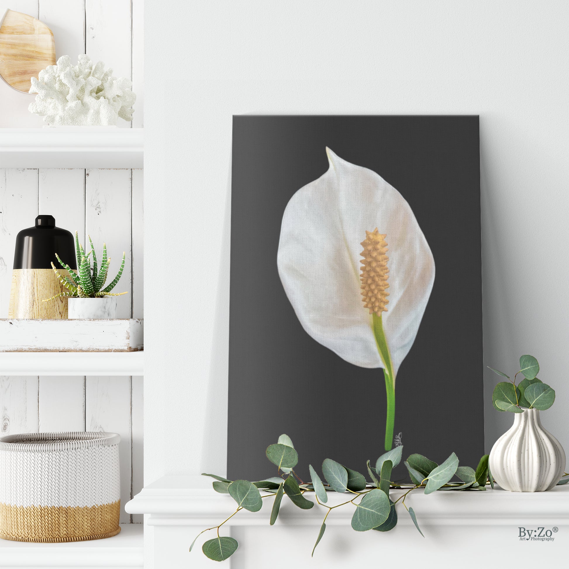 peace lily painting Fine Art on Wrapped Canvas, Peace Lily