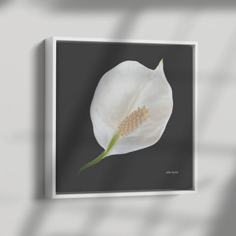 Peace Lily Giclee Print on Floating Framed Canvas Fine Art Photography Print  By:Zo® - By:Zo