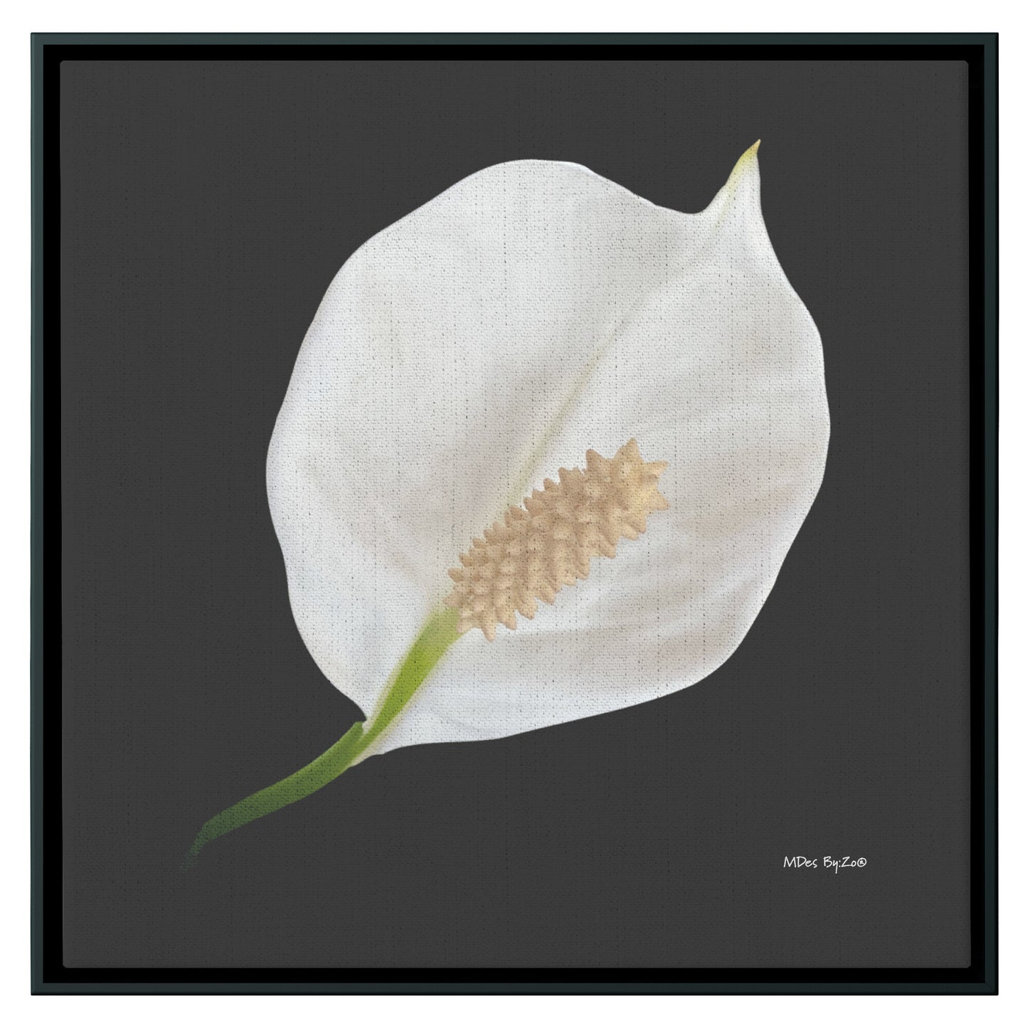Peace Lily Giclee Print on Floating Framed Canvas Fine Art Photography Print  By:Zo® - By:Zo