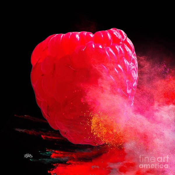 Raspberry Color Splashed - Archival Ink Art Print - By:Zo